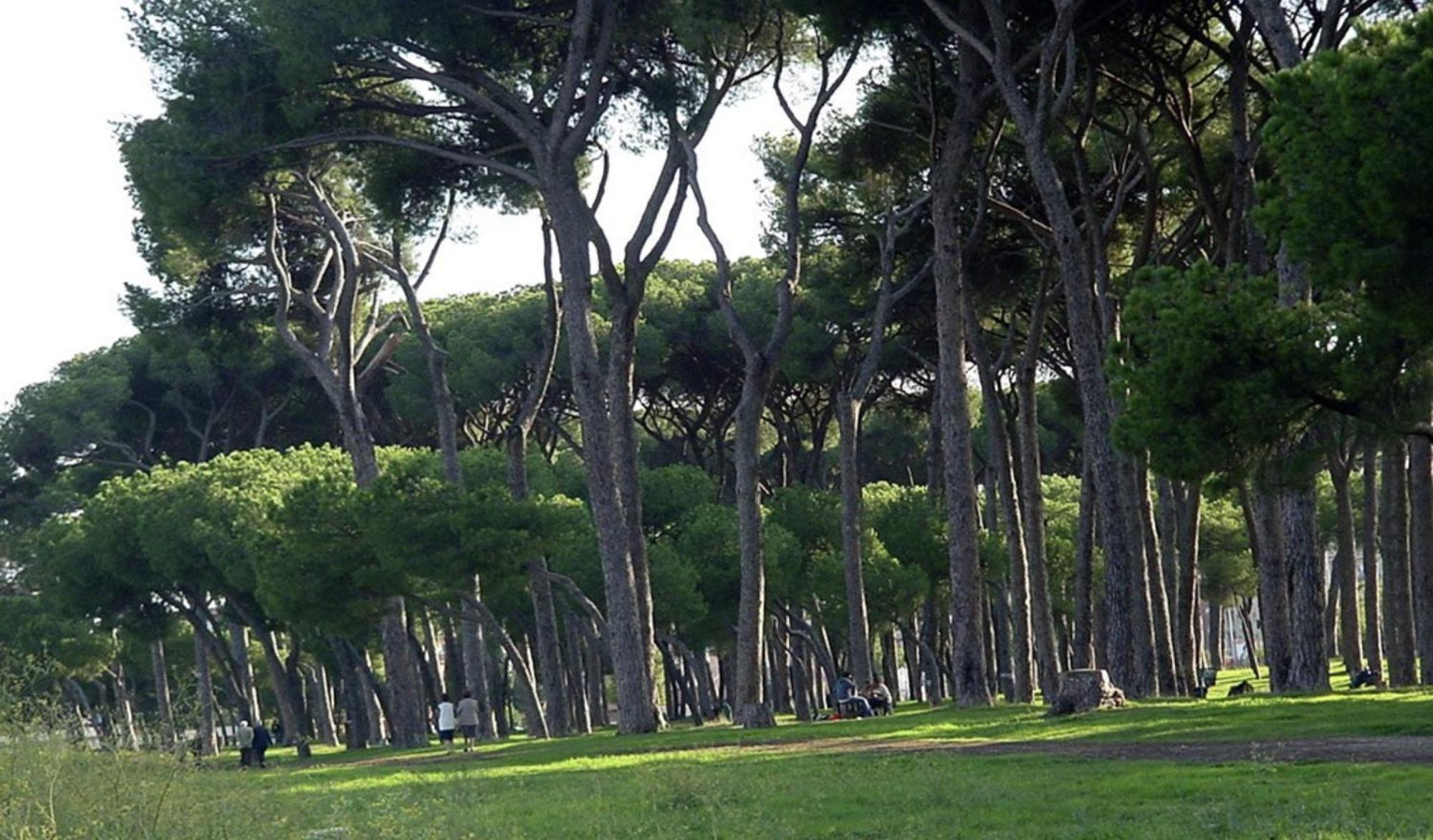 Piuma Celeste A Due Passi Dal Mare E Dal Centro Storico Lido di Ostia Exterior photo